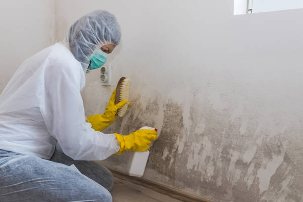 Best Forensic Mold Investigation  in Simonton Lake, IN